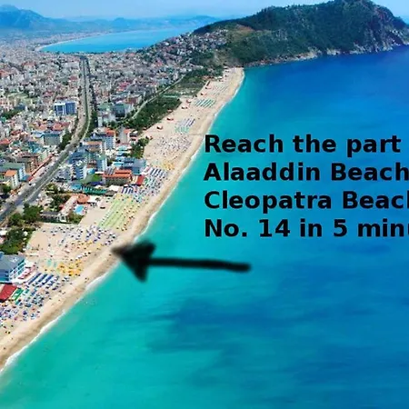 Palm Beach Cleopatra House: Beachside Private With Bikes & Extras *