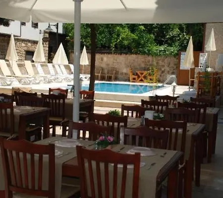 Palm Beach Cleopatra House: Beachside Private With Bikes & Extras Apartment *